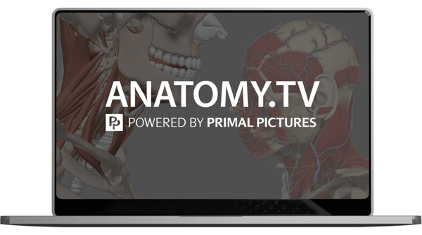 Primal Anatomy.tv Macbook