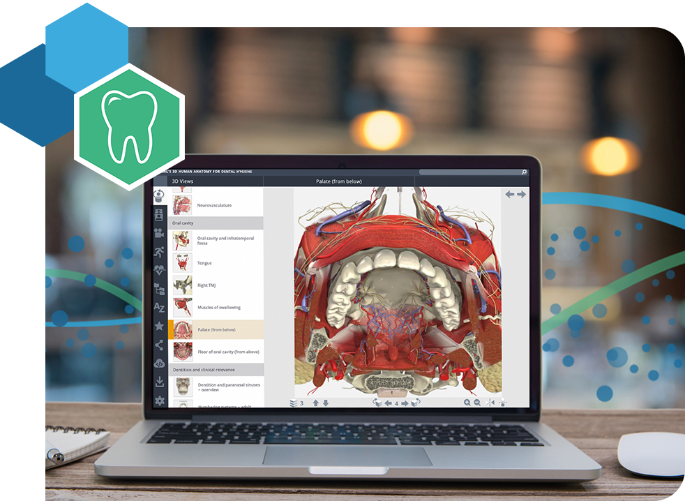 Website Image - Dentistry Page - Tab Content Module - Primal Pictures Dental Hygiene Mockup Hero Banner