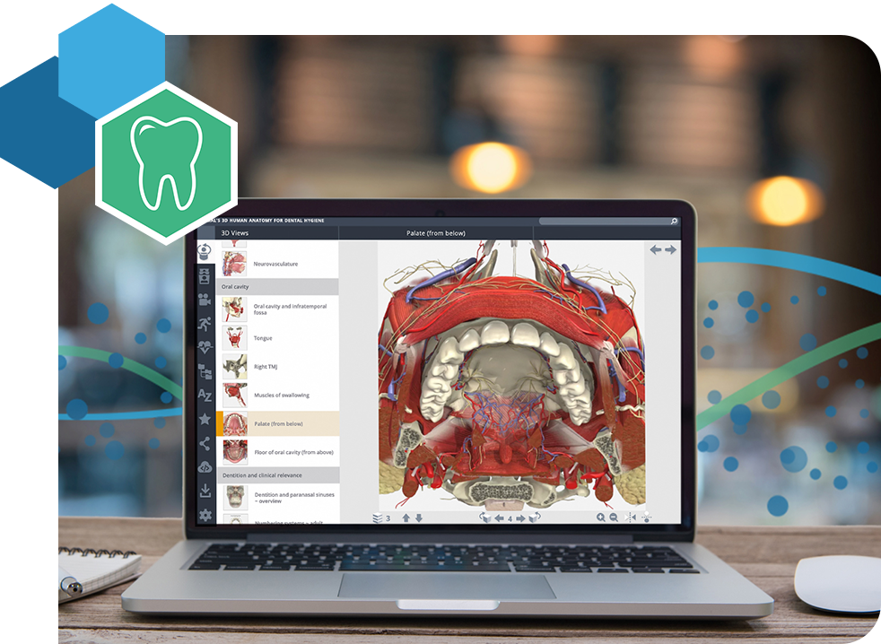 Website Image - Dentistry Page - Tab Content Module - Primal Pictures Dental Hygiene Mockup Hero Banner