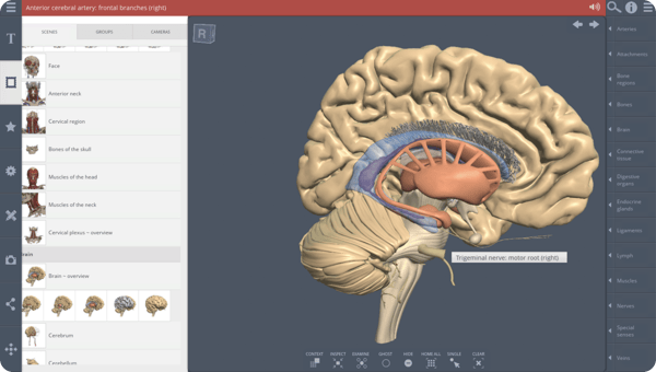 Website Image - Primal Pictures Page - Alternating Content Module - Primal Pictures Anterior Cerebral Artery Platform Screenshot copy