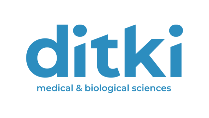 Ditki - For Website Design